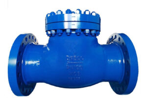 Choosing the Right Check Valve for Water Systems