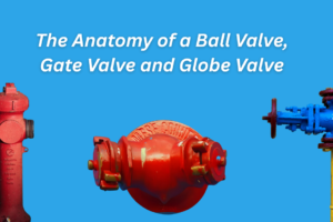 The Anatomy of a Ball Valve, Gate Valve and Globe Valve | How They Work