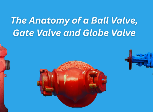 The Anatomy of a Ball Valve, Gate Valve and Globe Valve | How They Work The Anatomy of a Ball Valve, Gate Valve and Globe Valve | How They Work